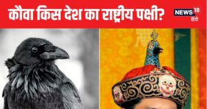 GK News : भारत के किस पड़ोसी देश का राष्ट्रीय पक्षी है कौआ? नहीं हैं पाकिस्तान और बांग्लादेश