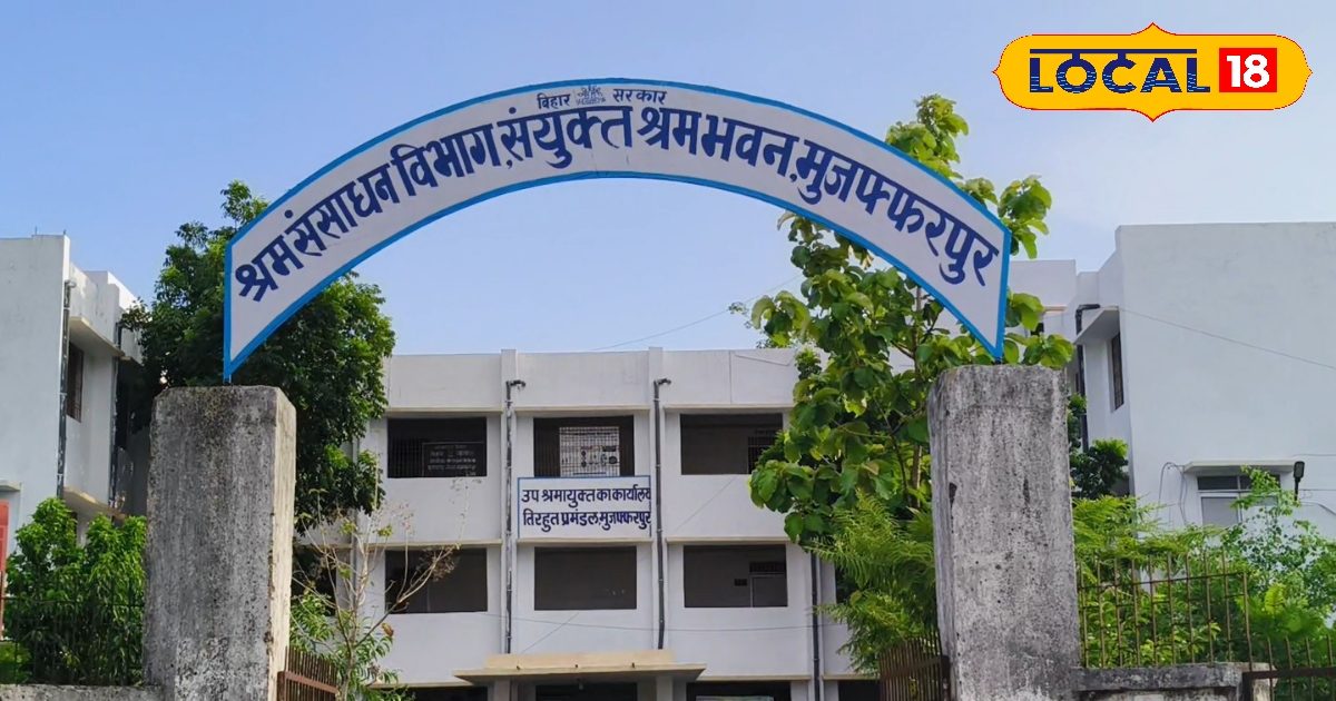 Job Alert: रोजगार का सुनहरा मौका! 17 को बिहार में यहां लगेगा जॉब कैंप, 120 पदों पर होगी बहाली