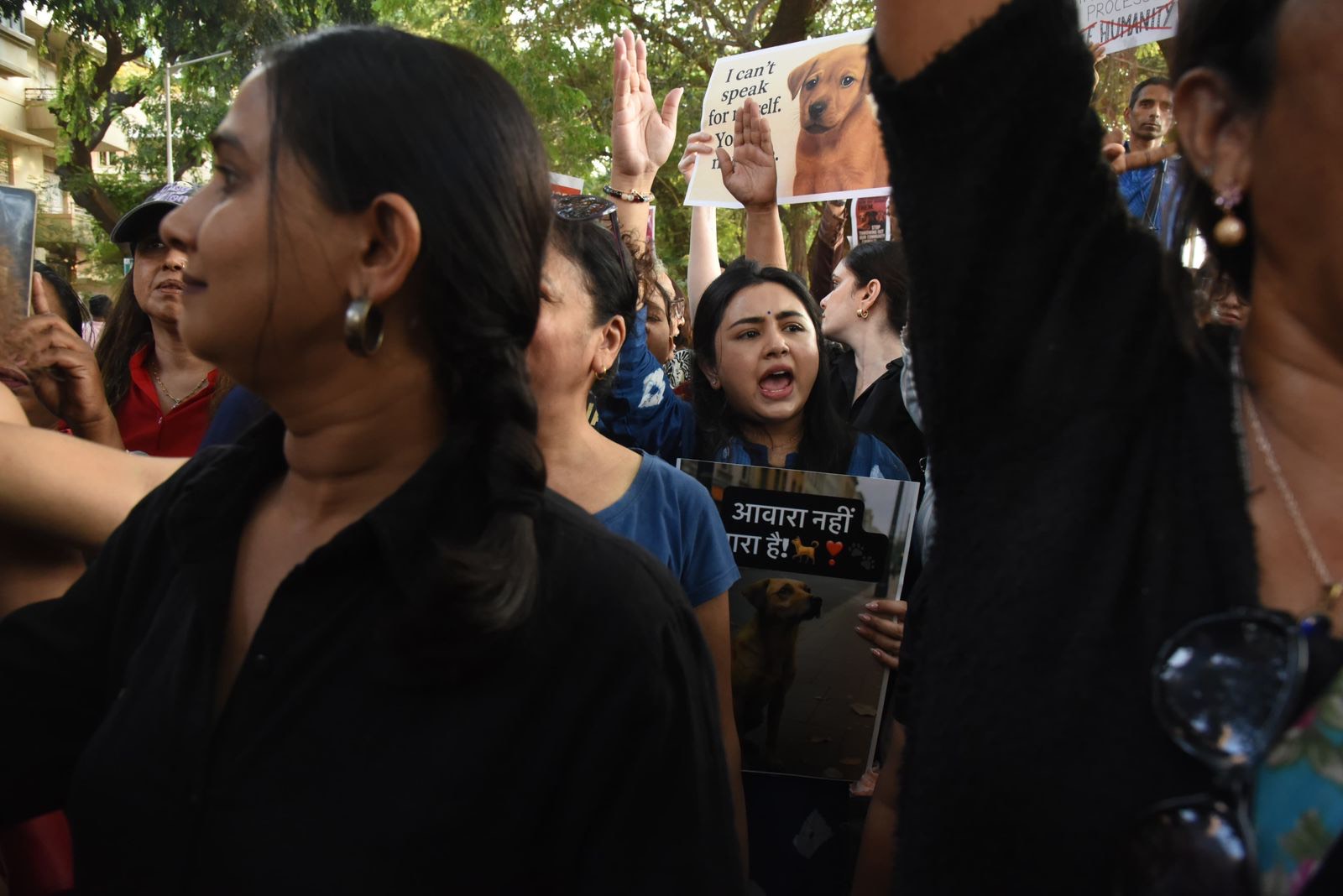 एमपीसीसी उर्दू बातम्या 16 नोव्हेंबर 25 : एमपीसीसी उर्दू बातम्या 16 नोव्हेंबर 25 :