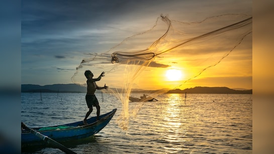 पाकिस्तानच्या हद्दीत प्रवेश केल्याप्रकरणी महाराष्ट्रातील ८ मच्छिमारांना ताब्यात घेतले आहे.