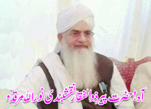 आह! हजरत पीर झुल्फिकार नक्शबंदी नूरउल्ला मरकडा – तहलका टाइम्स न्यूज पोर्टल