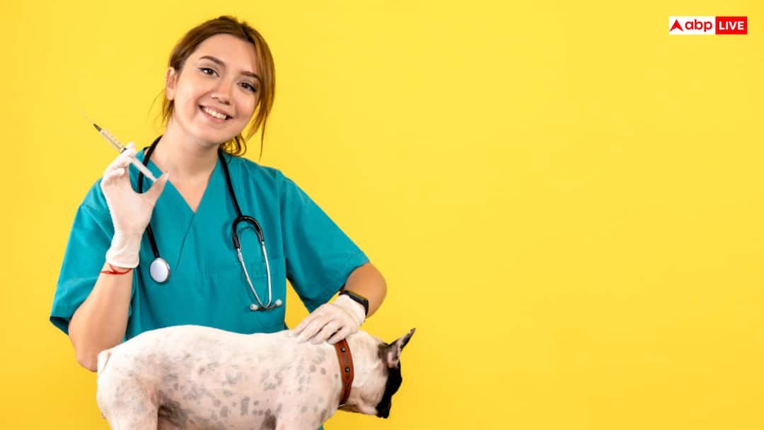 हरियाणा में सरकारी नौकरी का मौका, 60 हजार से ज्यादा सैलरी; वेटरनरी डॉक्टरों के लिए निकली वैकेंसी